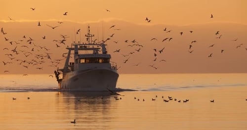 Fischerboot kehrt bei Sonnenuntergang zum Hafen zurück, Frankreich
