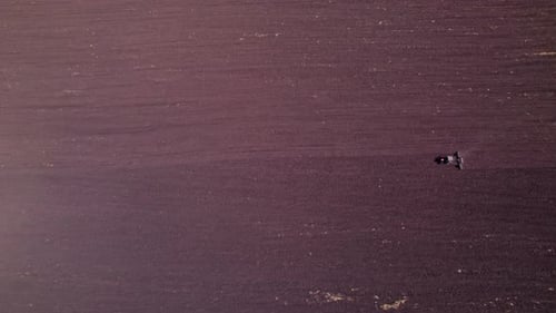 Tractor on the Field