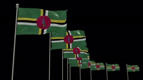 Multiple Dominica Flags Waving Loop