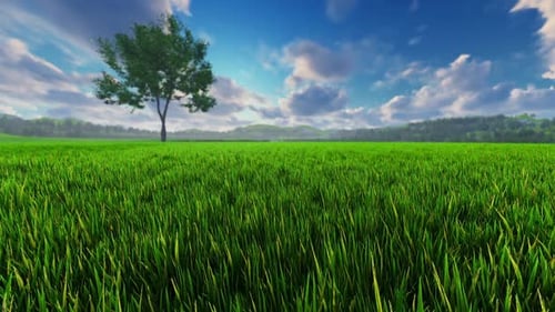 Green Landscape With Lonely Tree- HD