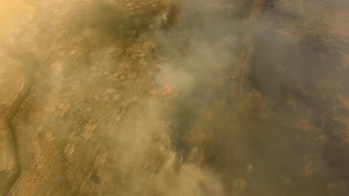 The burning field in spring, view from a drone