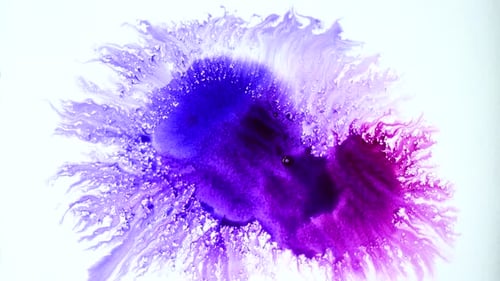 Purple Paint Bloom on White Surface with Art Brush