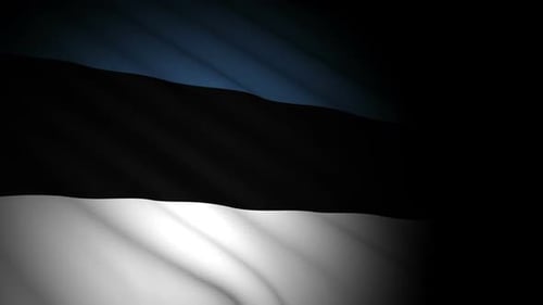 Estonian Flag Waving Seamless Loop Background Animation