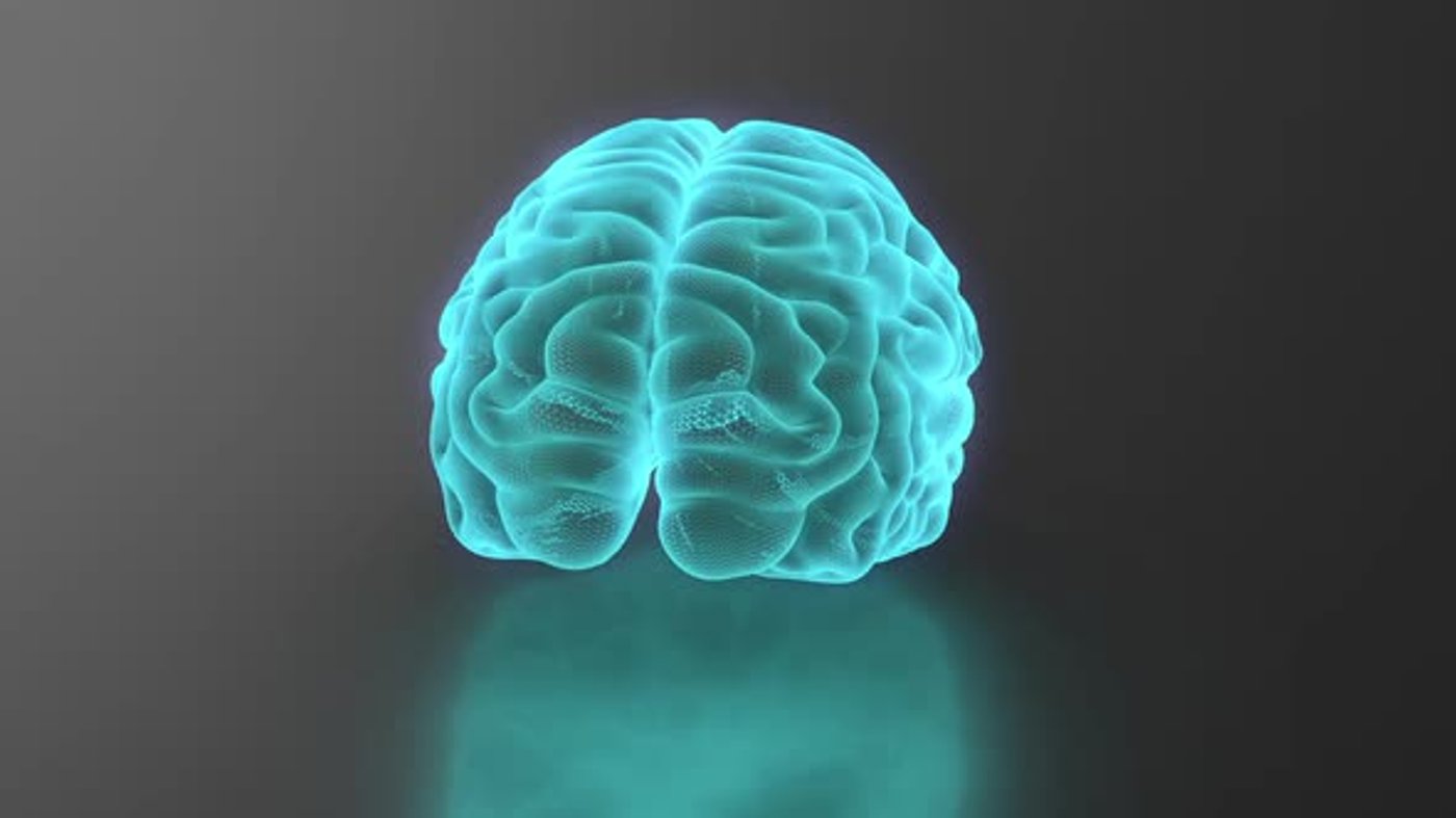 Animated 3D Futuristic Brain Rotating Science Concept, Backgrounds ...