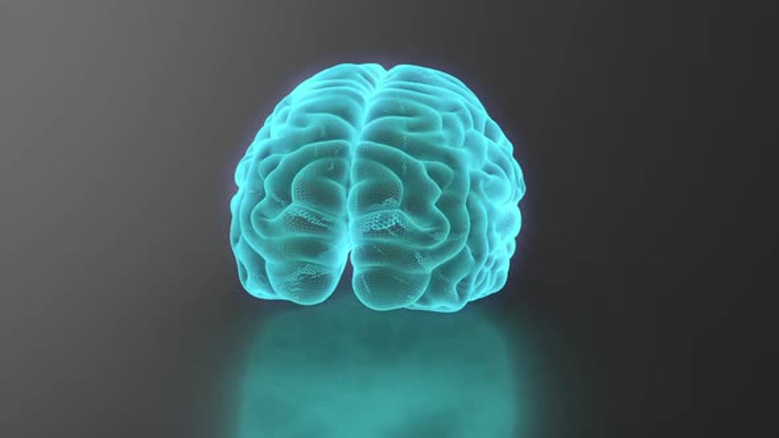 Animated 3D Futuristic Brain Rotating Science Concept, Backgrounds ...