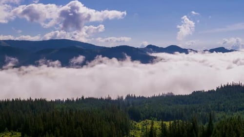Misty Morning in the Mountains