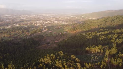 Paysage forestier aérien 4K