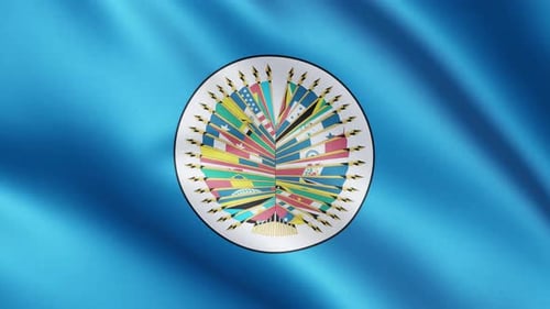 Realistic OAS Flag Waving in Blue Sky Animation