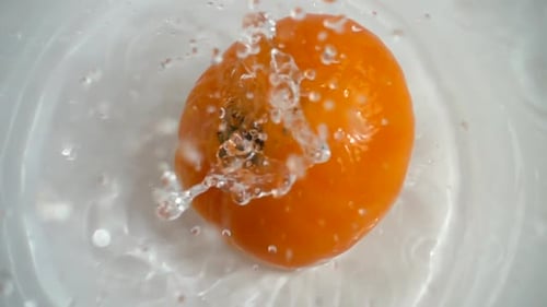 Tomato Falling 2