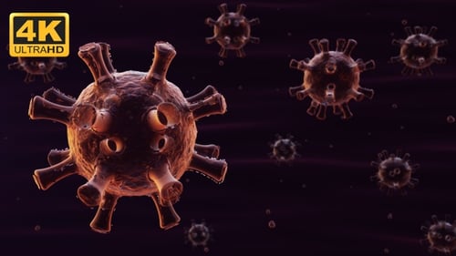 3D Microscopic View of a Rotating Virus Cell
