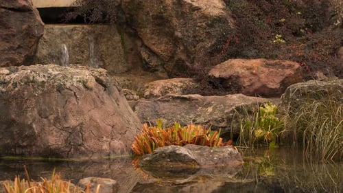 Rocky Shore Of the Pond