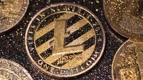 Macro Sparkles tombe sur un modèle fabriqué par le système de paiement Litecoin