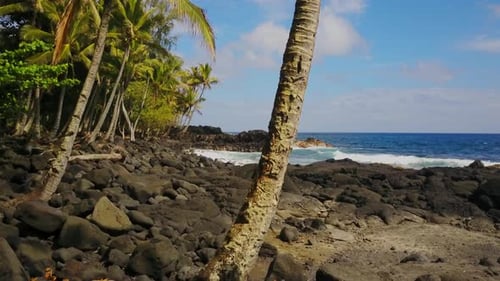 Coastline of Hawaii