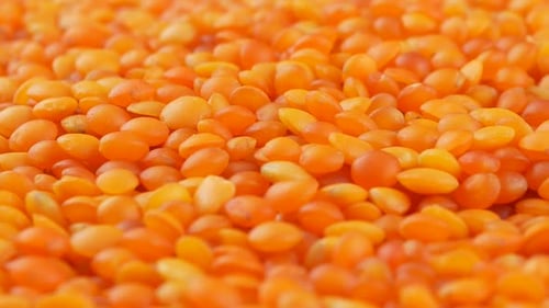 Red lentils background close up