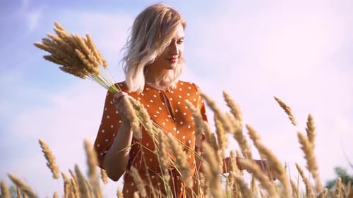 Beautiful Young Woman Walks in the Field Collects a Bouquet of Flowers and Spikelets