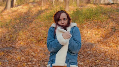 Woman Wearing Blue Jacket in Autumnal Park