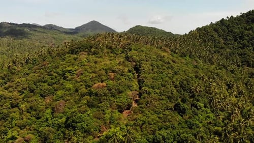 Tropical Forest on Island. Fantastic Drone View of Green Jungle on Mountain Ridge of Amazing