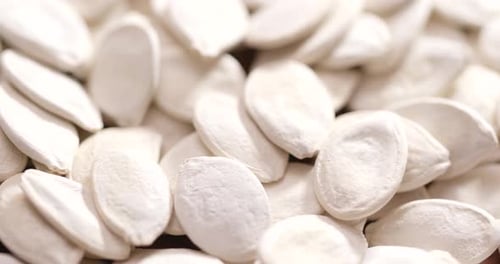 White pumpkin seed