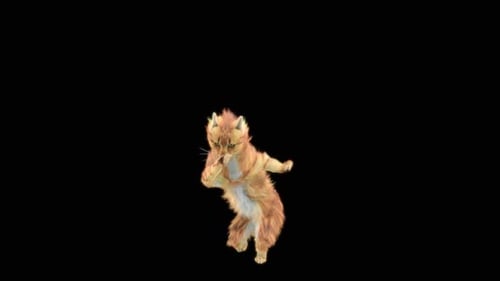 Katze HD