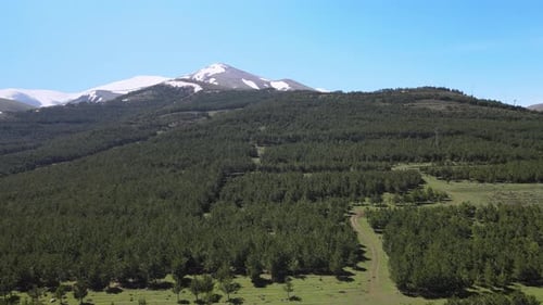Scenic Aerial View of Lush Green Landscape