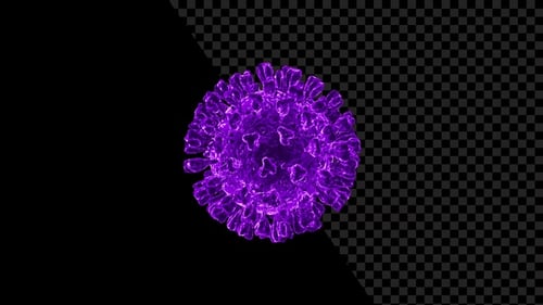 Animated Purple Virus Cell Microscopic Rotation