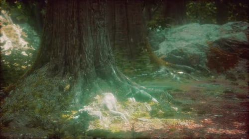 Tree Roots and Sunshine in a Green Forest