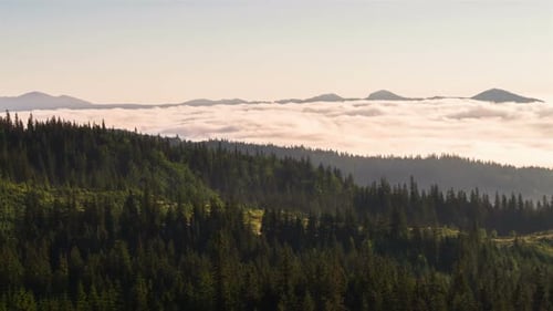 Aerial View of Forested Hills with Foggy Valleys