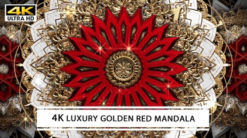 Luxury Animated Mandala Pattern with Ornate Gold Elements