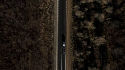 Servicio de reparación de carreteras asfaltadas Señalización vial