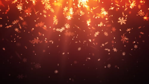 Winter Snow Flakes