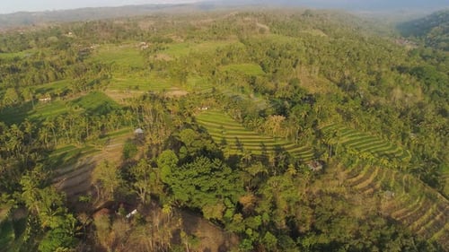 Tropical Landscape with Agricultural Land in Indonesia