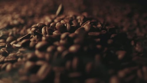 Steaming Roasted Coffee Beans Falling into Pile