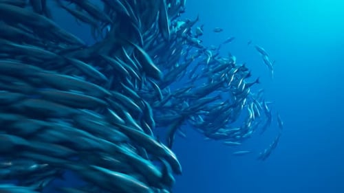 Animation des Fischschwarms, der in der Tiefe des Ozeans schwimmt. Tiefblaues Wasser.