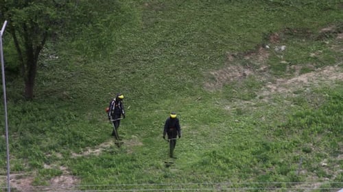 Two men mow grass with trimmers. 60 fps HD