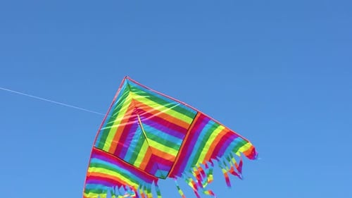 Kite on the Ocean