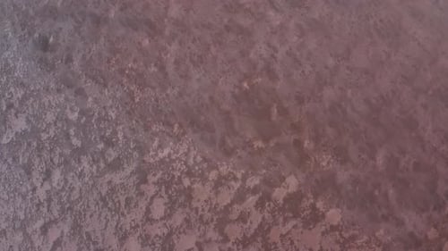 Aerial Drone Footage of a Pink Salt Lake on a Beautiful Summer Evening