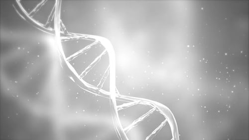 Abstract White DNA 3D Hologram glowing rotating DNA double helix.