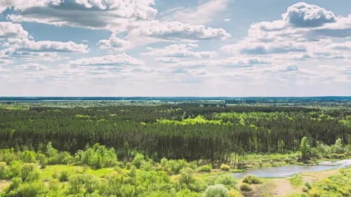 Aerial View Forest Woods River Marsh Early Summer Landscape