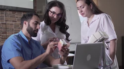 Medical Professionals Discuss Dental Model in Office