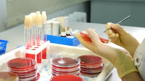 Gesundheitswesen und Humananalyse