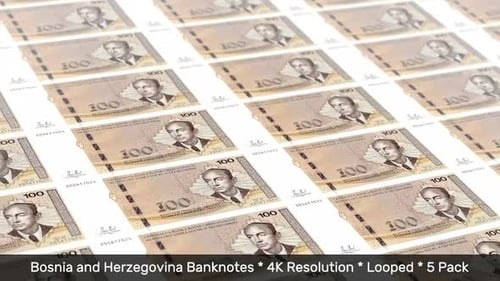 Bosnia Banknotes / Bosnian Money / KM / BAM 5 Pack - 4K