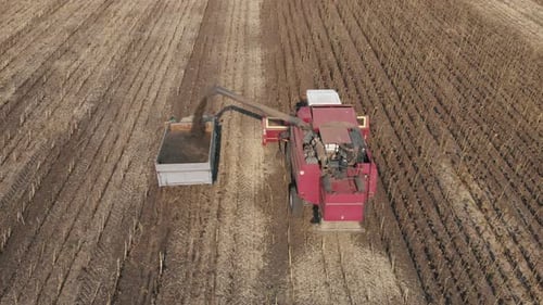 Aerial View Combine Harvesting on Sunflower Field. Mechanized Harvesting Sunflower. Large Field of