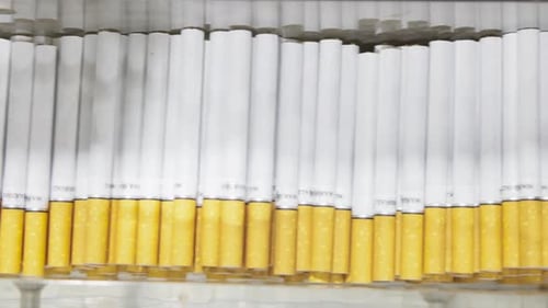 Cigarettes Go on the Conveyor Belt