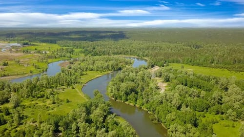 Forest River