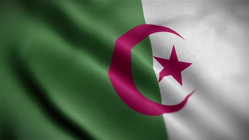 Algeria National Flag Realistic Waving Fabric Loop