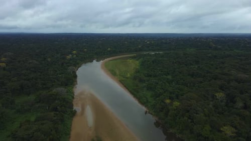 Untouched Dense Rainforest and River