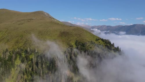 Alpine Meadows And Sea Of Fog