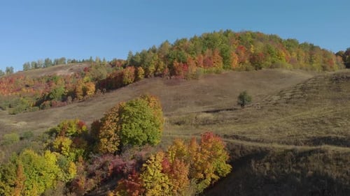 Hilly Area With Autumn Trees