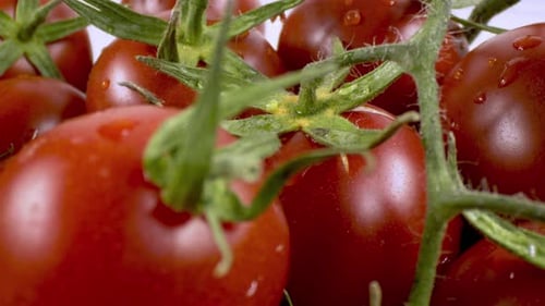 Nahes und detailliertes Shot-Stapel mit frischen Tomaten 5