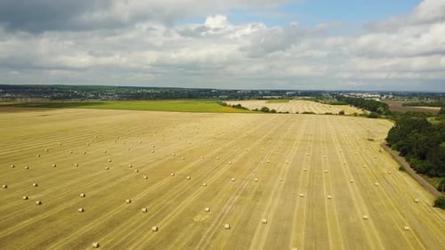 Aerial View of Harvested Field with Hay Bales